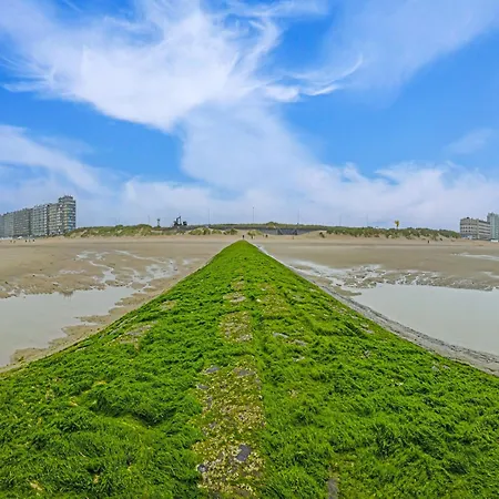 Bright Beachfront Apartment, Cleaning Included * Westende